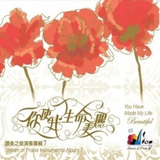 你使我生命美麗--讚美之泉演奏(7)/CD