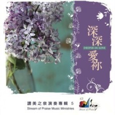 深深愛你-讚美之泉演奏(5)/CD