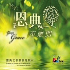 你恩典不離開--讚美之泉演奏(6)/CD